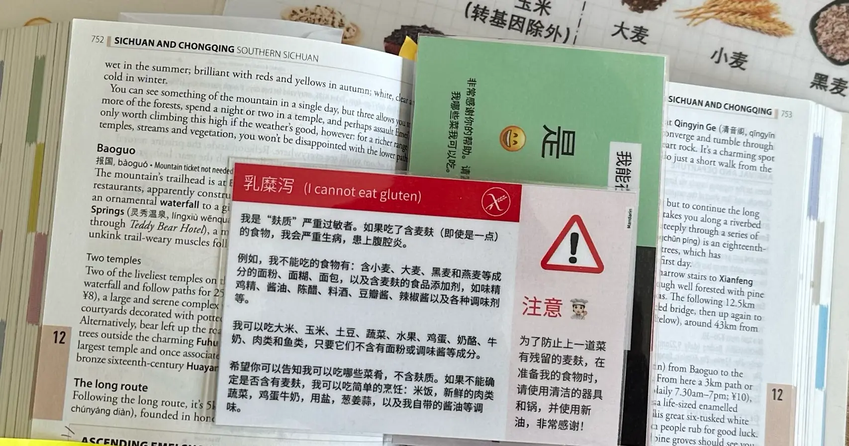 Gluten-Free Travel in China