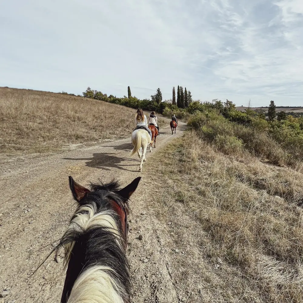 A 2-day road trip in Tuscany: Val d'Orcia and surroundings